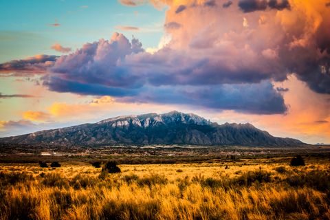 Albuquerque